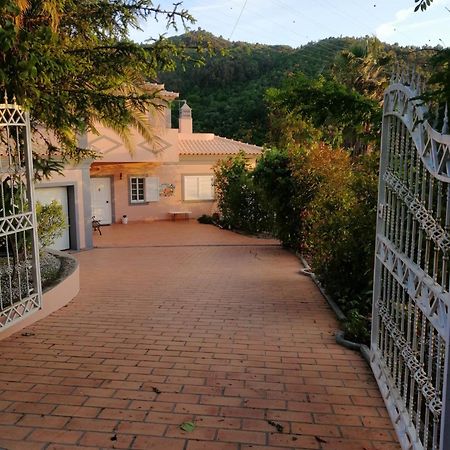 Вилла Casa Loureiro - Vista Rio Douro Резенде Экстерьер фото