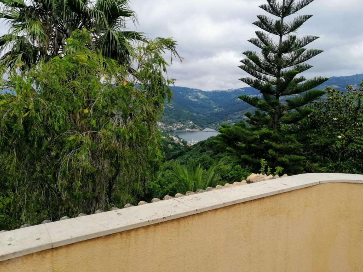 Вилла Casa Loureiro - Vista Rio Douro Резенде Экстерьер фото